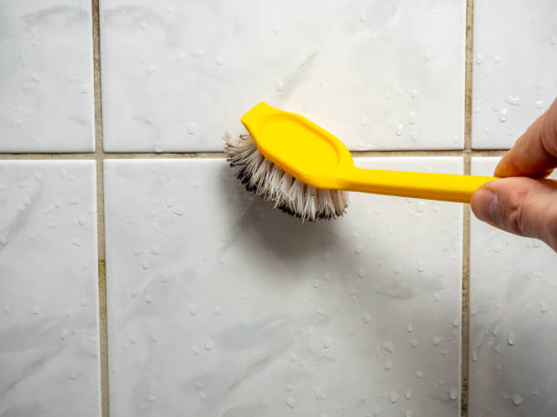 Best Localized Mold Remediation (e.g., coastal areas, humid climates) in Paxton, IL