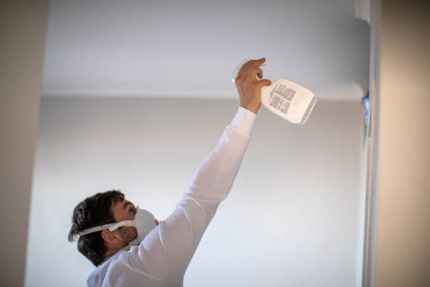 Best Residential Mold Remediation in Paxton, IL