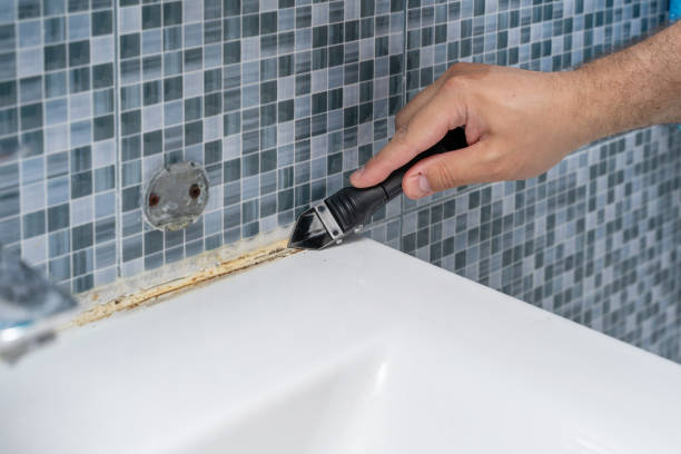 Best Basement Mold Remediation in Paxton, IL